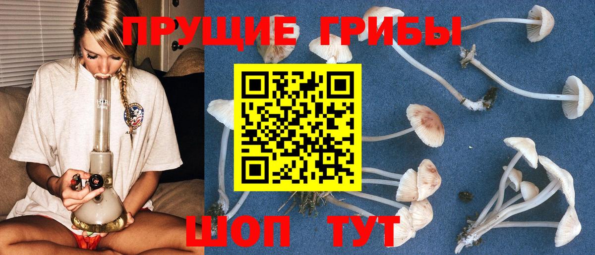 Псилоцибиновые грибы мухоморы  Вход с VPN  Арсеньев  Галлюциногенные грибы GOLDEN TEACHER 