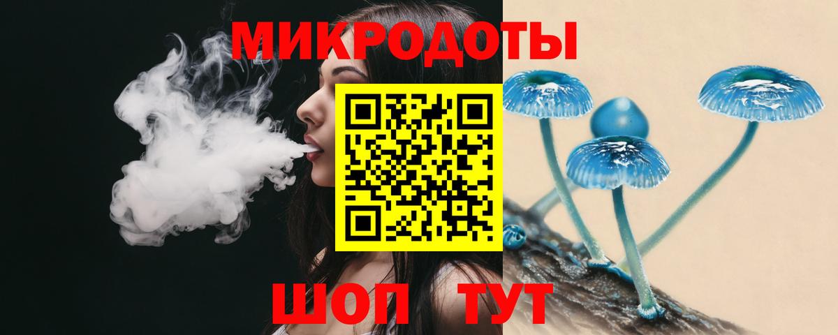 Псилоцибиновые грибы Cubensis Арсеньев